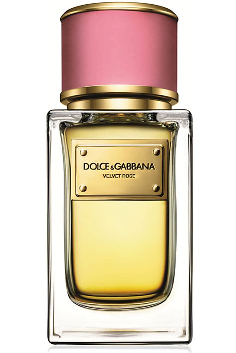 perfume rose dolce gabbana|dolce by and gabbana perfume.